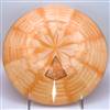 Westside Tournament Seer 176.4g  - Westside Tournament Rill Seer