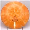 Westside Tournament Seer 176.5g  - Westside Tournament Rill Seer