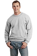 Team Disc Baron Crew Sweatshirt (Gildan 12000)